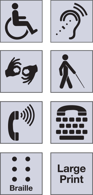 DisabilityInfo icons
